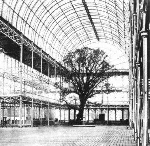 ۵۵۴۱۸fc3e58ece706c000342_the-architectural-lab-a-history-of-world-expos-_crystal_palace_great_exhibition_tree_1851-530x515