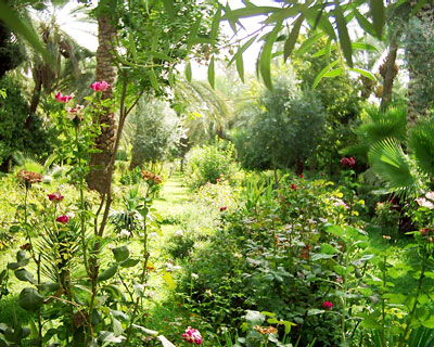 Iranian gardens - bagh-e Golshah Tabas