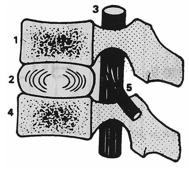 Pages from Ergonomy-11.jpg