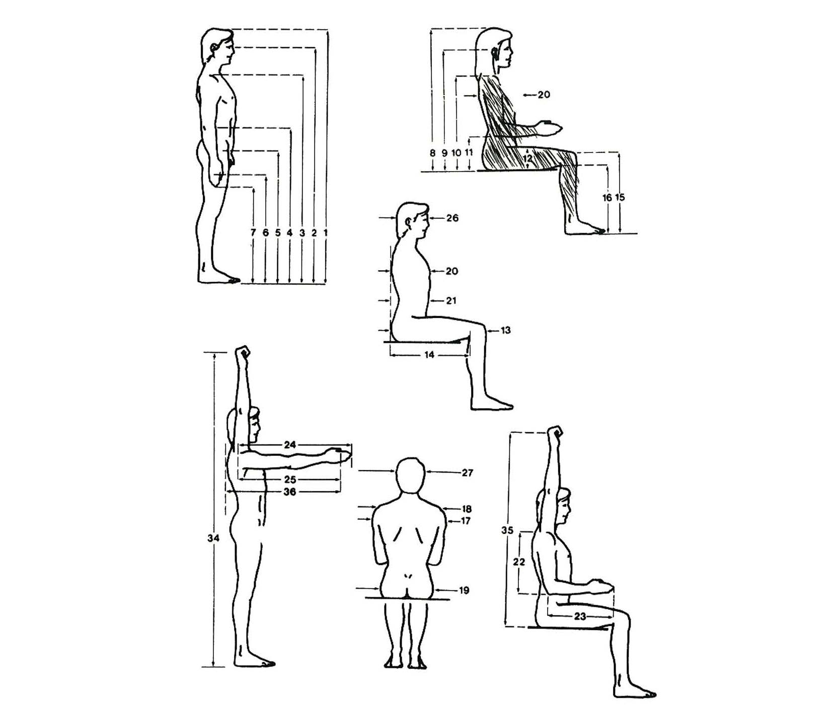 Pages from Ergonomy.jpg