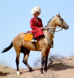 بررسی جایگاه اسب در ضرب المثل های ترکمنی
